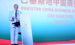 PM vows Chinese development and economic model to replicate same in Pakistan