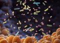 Gut bacteria, viruses likely to increase risk of type 2 diabetes