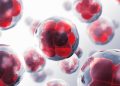 US FDA approves Citius’ therapy for rare blood cancer