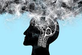 Processed red meat linked to higher risk of dementia, study