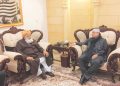 President Zardari calls on JUI-F chief