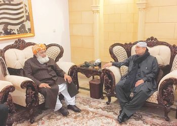 President Zardari calls on JUI-F chief