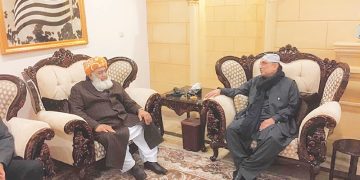President Zardari calls on JUI-F chief