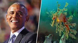 Netflix unveils Our Oceans’ Trailer, narrated by Barack Obama