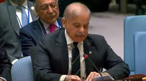 PM Shehbaz urges UN to take strict action against Israel’s genocidal acts