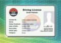 Online driving licence services introduced in Sindh