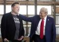 Donald Trump picks Elon Musk for new cost-cutting role