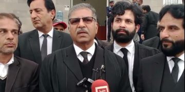 Negotiations with Govt won’t forward until formation of judicial commission, Ali Zafar