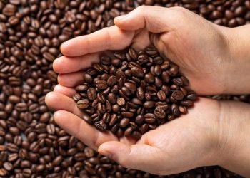 Coffee prices hit all time high