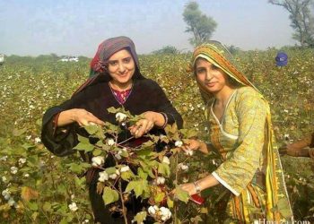 Federal Shariat Court declares “Chadar” and “Parchi” as un-Islamic