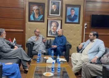 PPP urges MQM-P to withdraw its candidate for vacant Sindh Senate seat