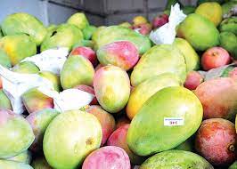 Chemically ripened mangoes can cause gastrointestinal discomfort