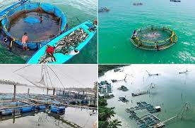 Govt to build aquaculture park in Karachi, projecting up to $7.2m annual revenue