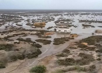 Death of a delta: Sindh’s Indus sinks and shrinks