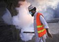 Sindh Govt issues fumigation plan for UCs in Karachi to control dengue outbreak