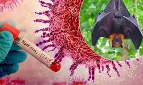 India reports two Nipah virus infections as Thailand, Malaysia step up screening