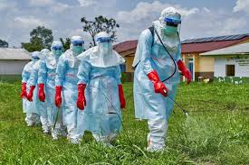 WHO says suspected Ebola cases drop to 116 after hundreds ruled out